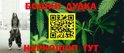 стафф Заволжье