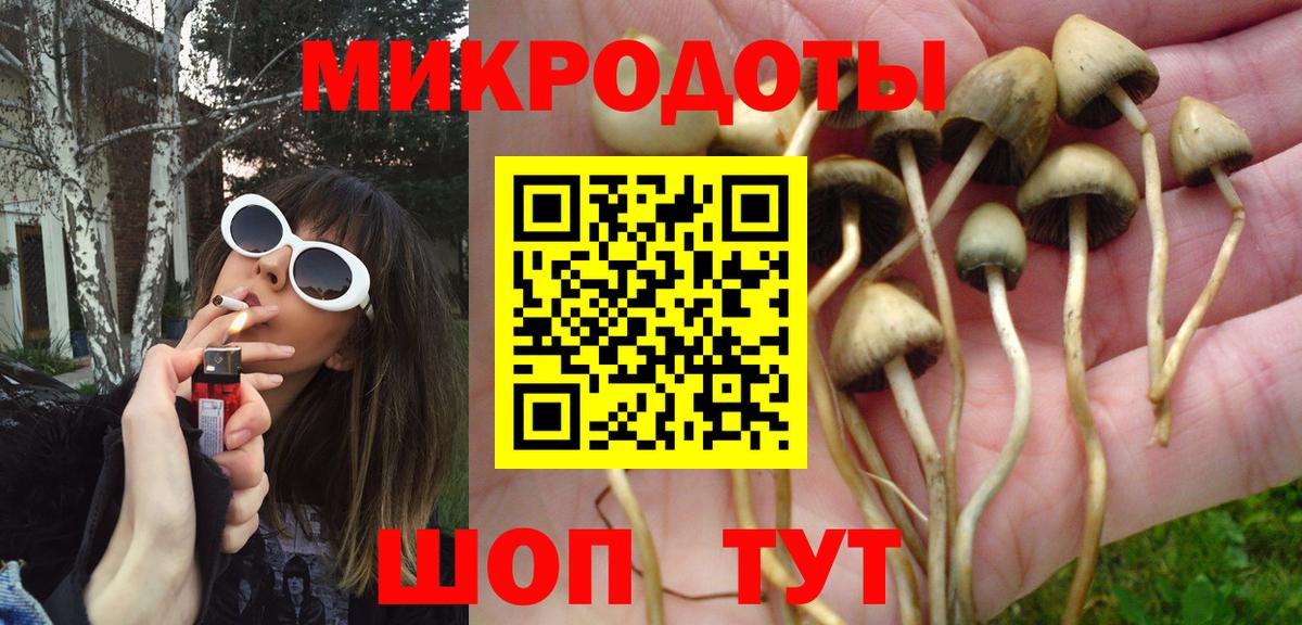 Галлюциногенные грибы мухоморы  Вход с VPN  Малгобек 